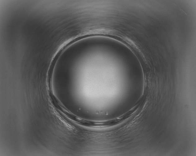 X0000054391230200507291135