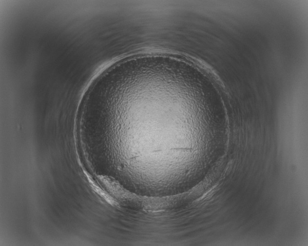 X0000054391231200507291135