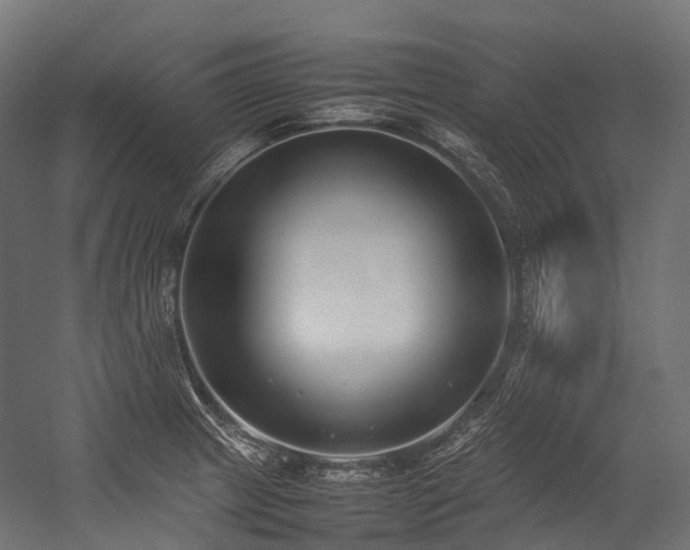 X0000054391233200507291135