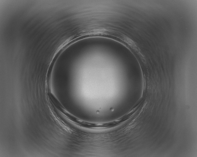X0000054391234200507291135
