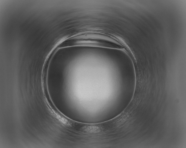 X0000054391235200507291135