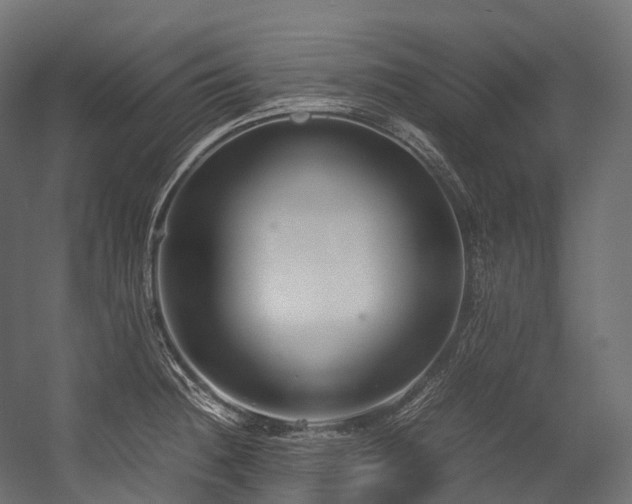 X0000054391236200507291135