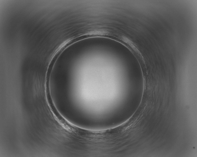 X0000054391237200507291135