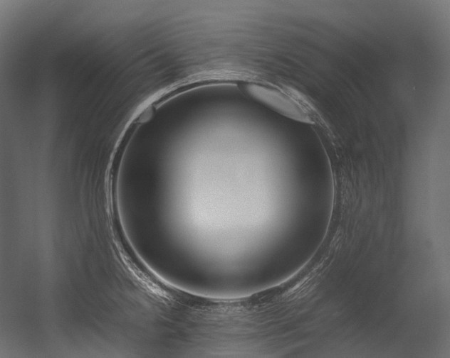 X0000054391238200507291135