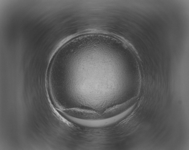 X0000054391239200507291135