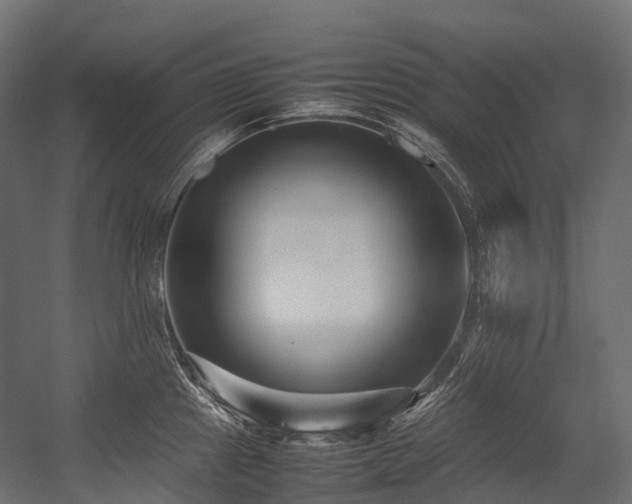 X0000054391241200507291135