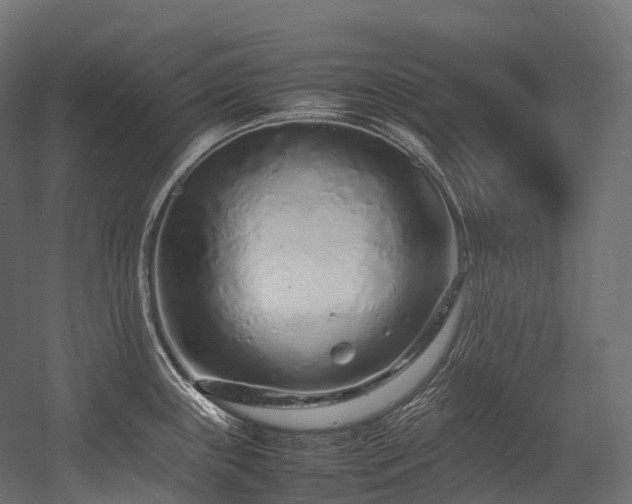 X0000054391243200507291135