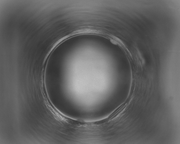 X0000054391244200507291135
