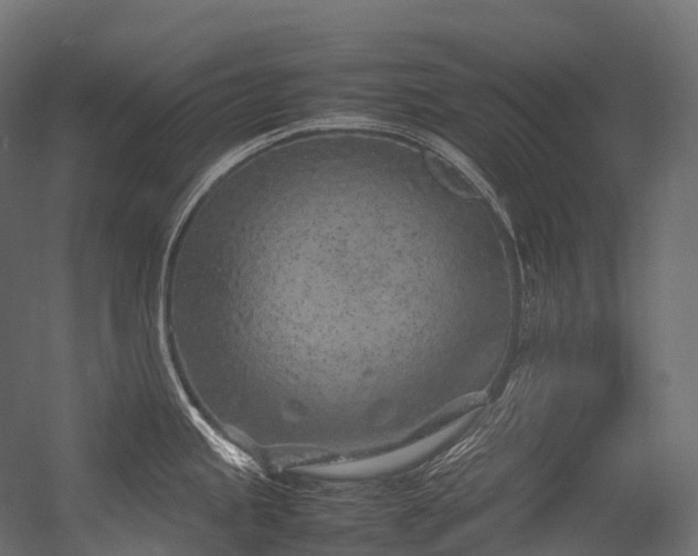 X0000054391245200507291135