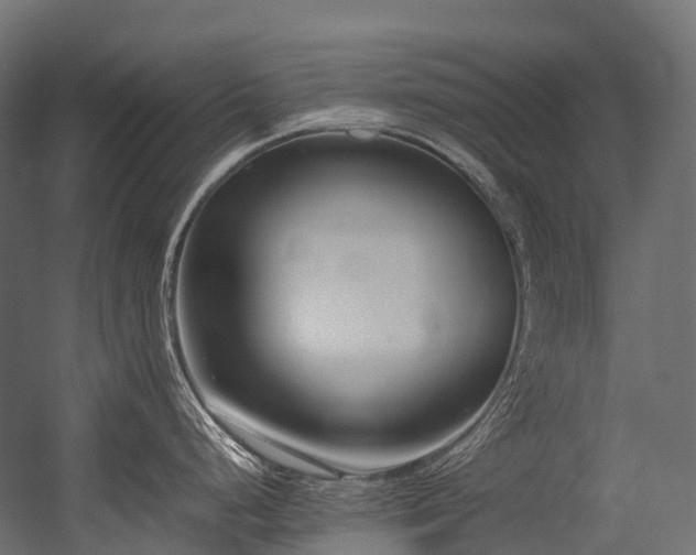 X0000054391248200507291135