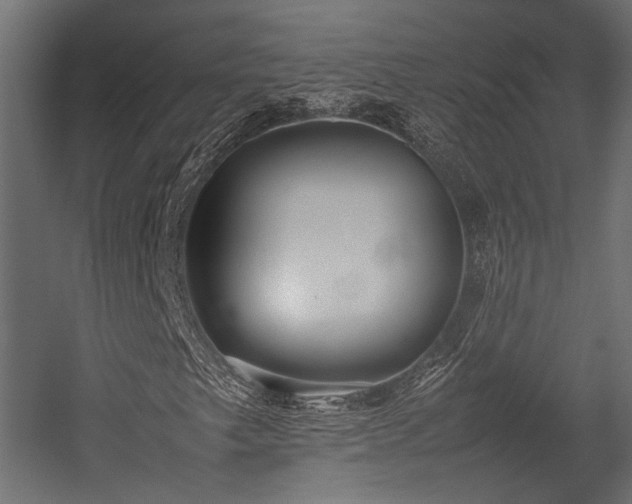 X0000054391249200507291134