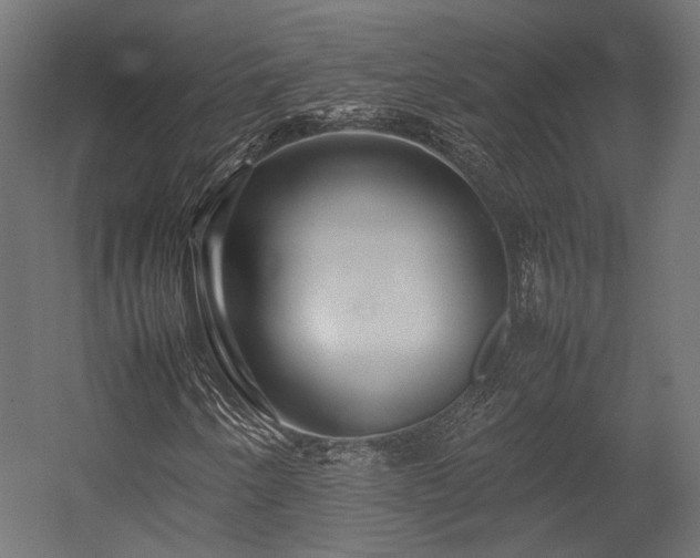 X0000054391250200507291134