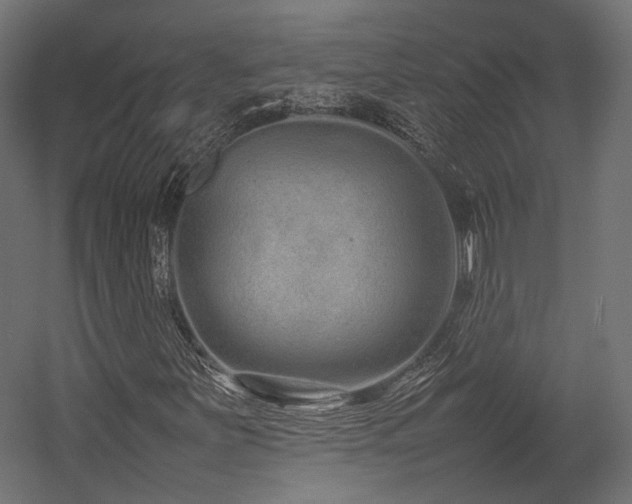 X0000054391251200507291134