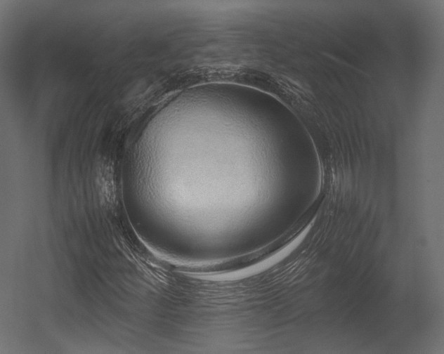 X0000054391252200507291134