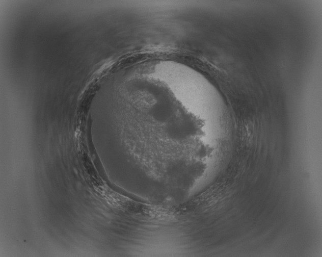 X0000054391254200507291134