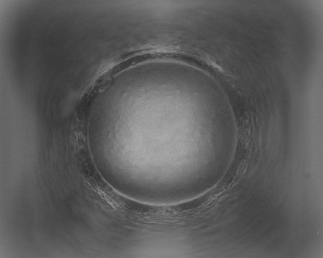 X0000054391255200507291134