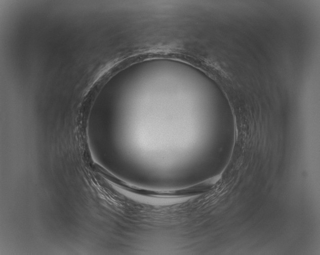 X0000054391256200507291134