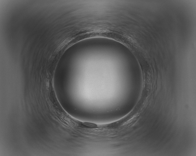 X0000054391257200507291134