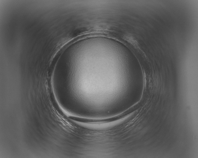 X0000054391260200507291134