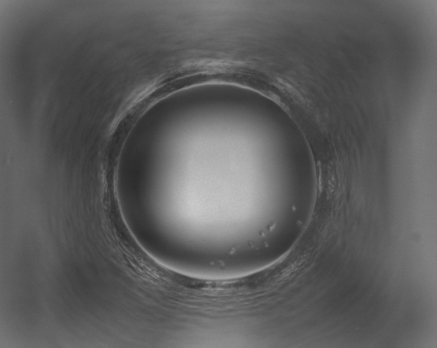 X0000054391261200507291134
