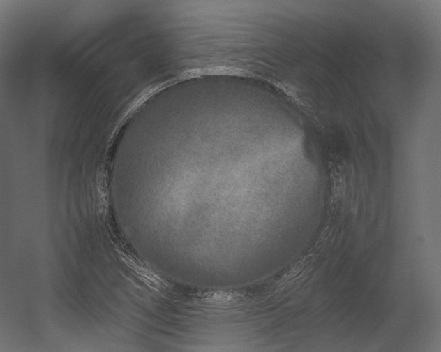 X0000054391266200507291134