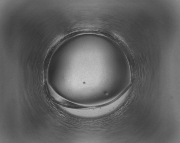 X0000054391267200507291134