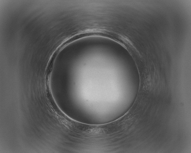 X0000054391268200507291134