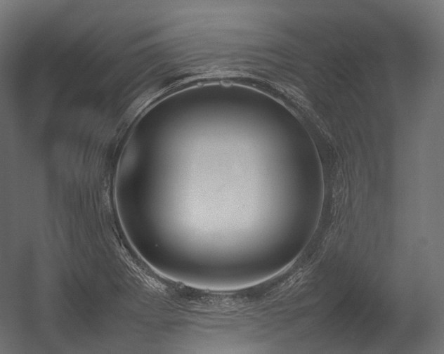 X0000054391273200507291134