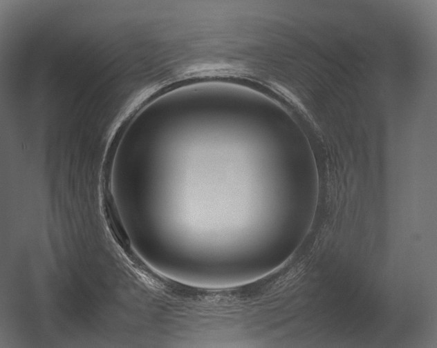 X0000054391277200507291134