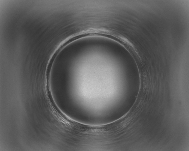 X0000054391280200507291134