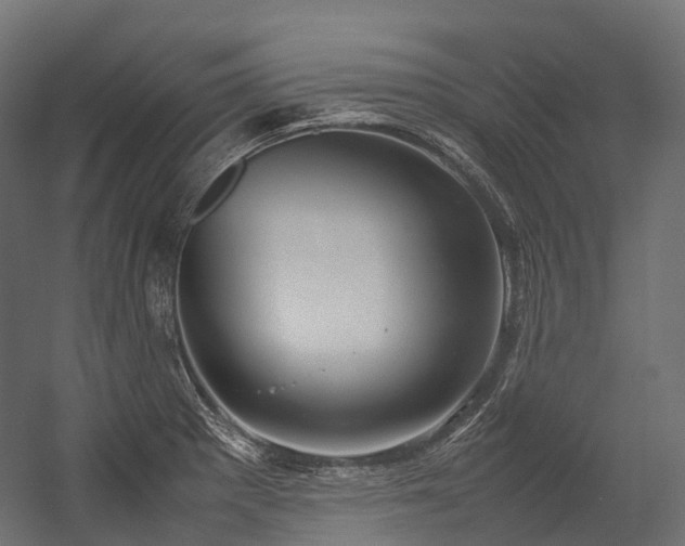 X0000054391281200507291134