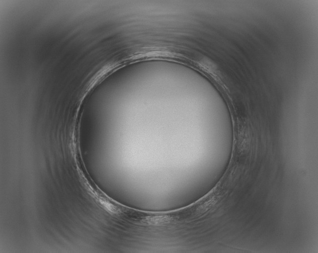 X0000054391282200507291134