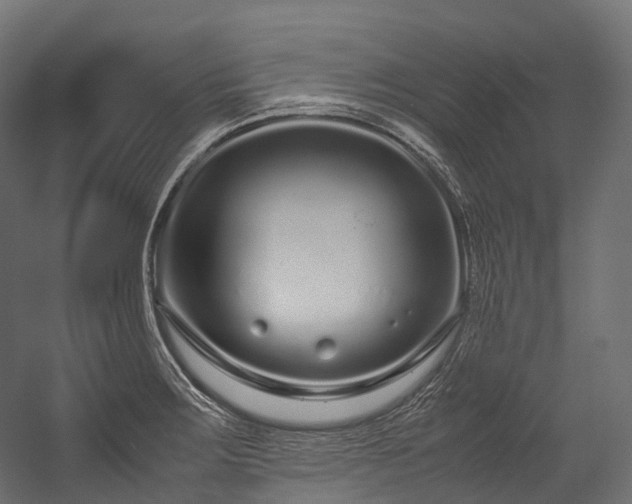 X0000054391283200507291134
