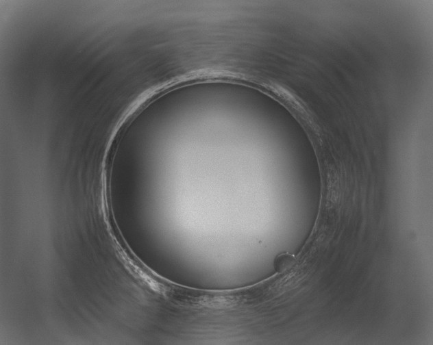 X0000054391286200507291134