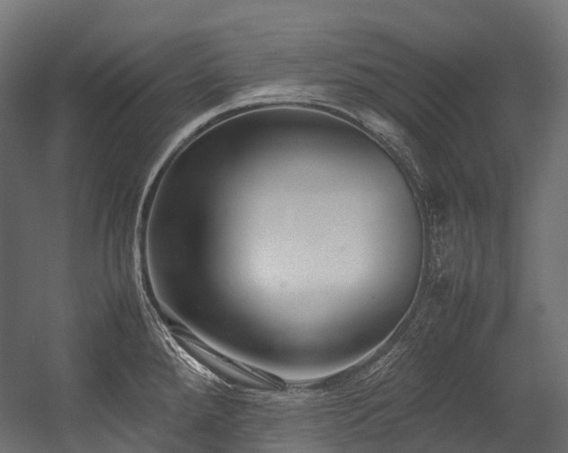 X0000054391288200507291134