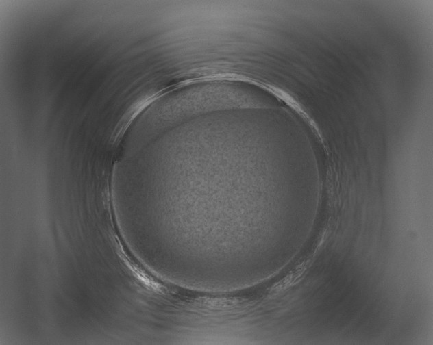 X0000054391289200507291134