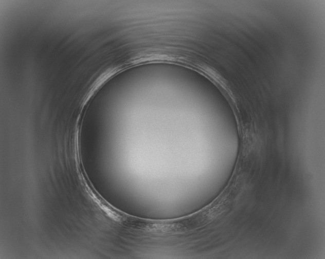 X0000054391290200507291134