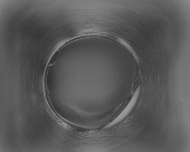 X0000054391291200507291134