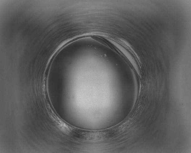X0000054391292200507291134
