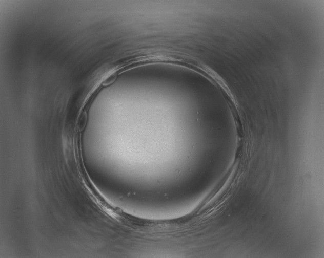 X0000054391293200507291134