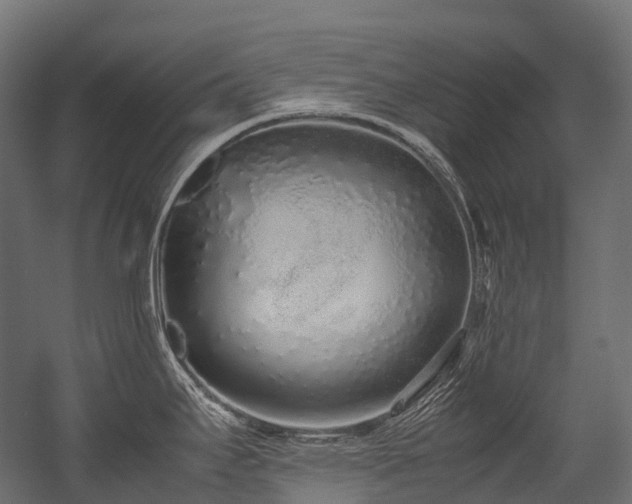 X0000054391295200507291134