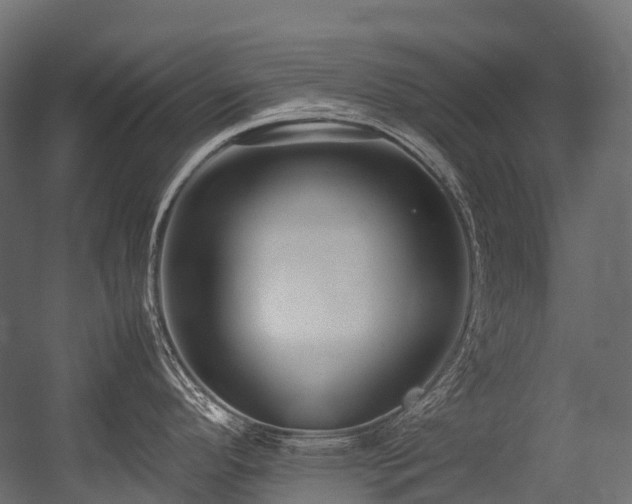 X0000054391296200507291134