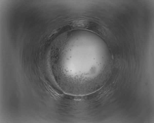 X0000054391297200507291133