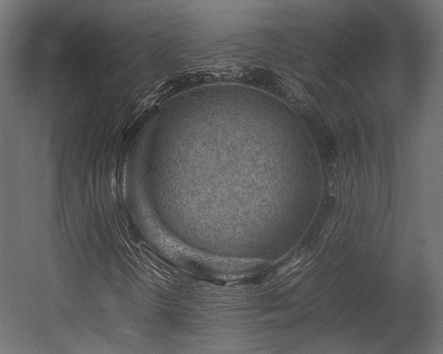 X0000054391298200507291133