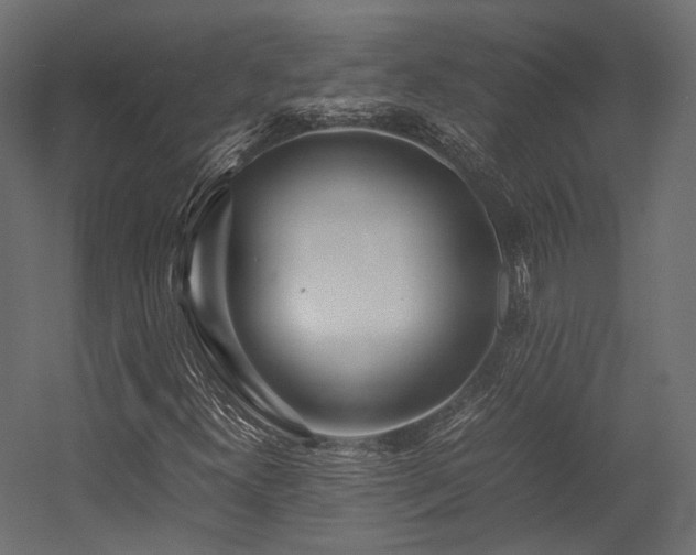 X0000054391300200507291133