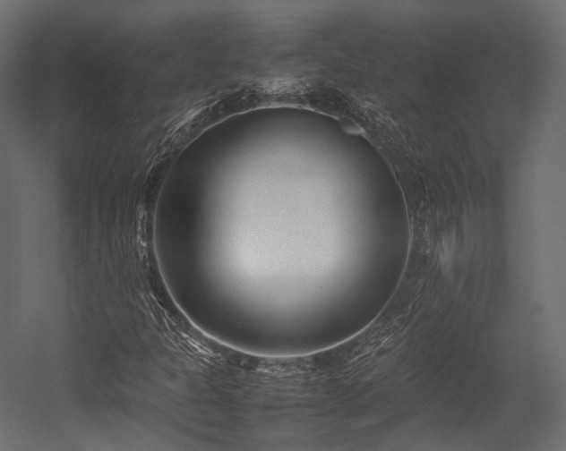 X0000054391301200507291133
