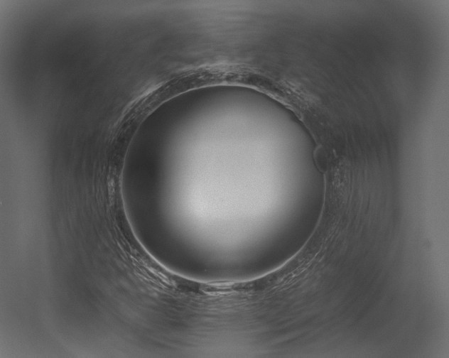 X0000054391302200507291133