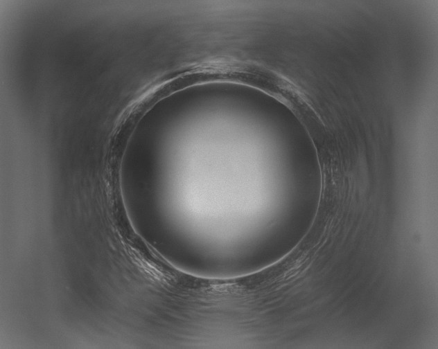 X0000054391304200507291133
