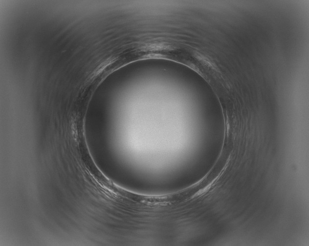 X0000054391305200507291133