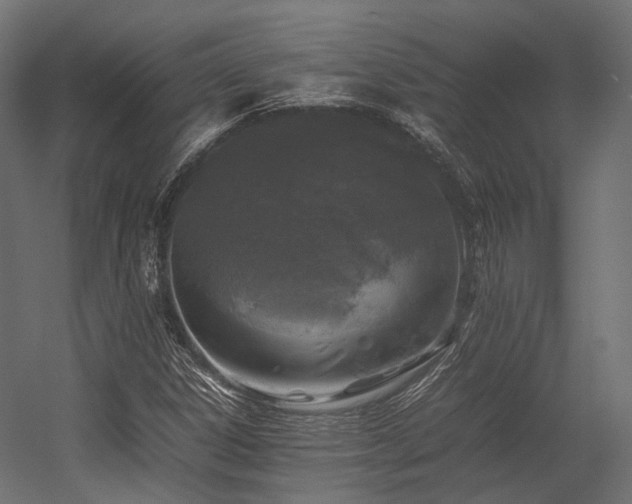 X0000054391306200507291133